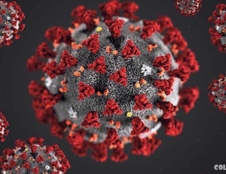 เชื้อไวรัสโคโรนา สายพันธุ์ใหม่เป็นอย่างไร