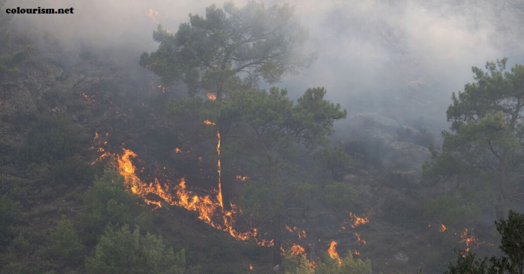 ไฟโหมกระหน่ำ บนเกาะโรดส์ของกรีซ นักผจญเพลิงพยายามตลอดทั้งคืนเพื่อควบคุมไฟป่า 82 จุดทั่วกรีซ โดย 64 จุดเริ่มขึ้นในวันอาทิตย์